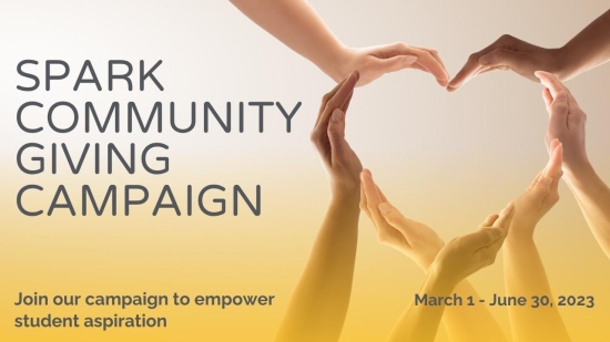 Spark Community Giving Campaign - Campaign