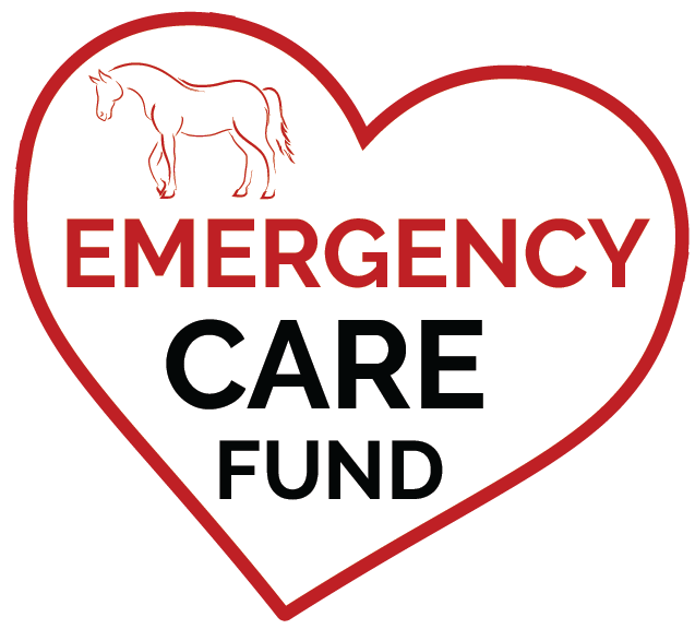 Horse Emergency Care Fund Campaign