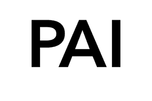 PAI logo logo