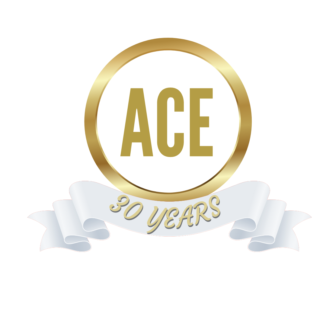 donate-to-2023-ace-year-end-giving