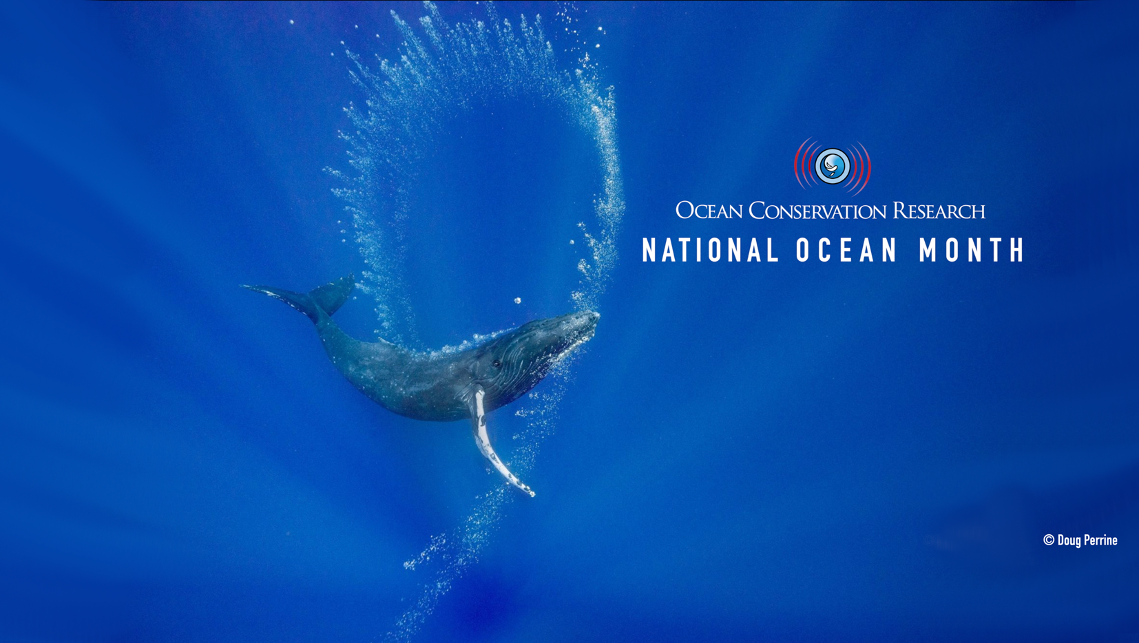 National Ocean Month Campaign   13ea3a9a 0a33 11ee 8f1f 0eac26233ba7 