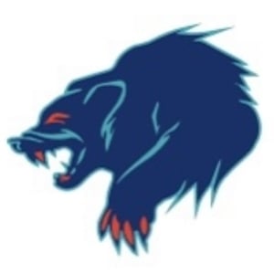 View Top Team - 'Team Wolverines' team page using image