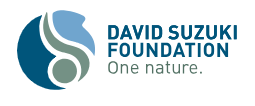 Go to the David Suzuki Monthly Recurring Giving event page