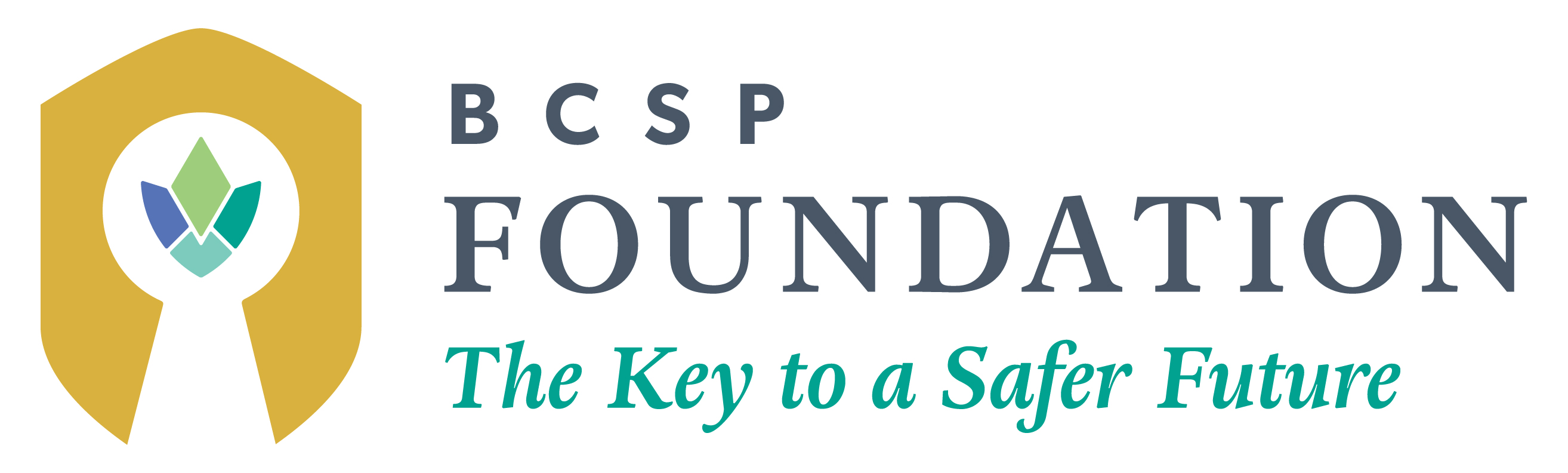 Caroline Walters's Fundraising Page For BCSP Foundation