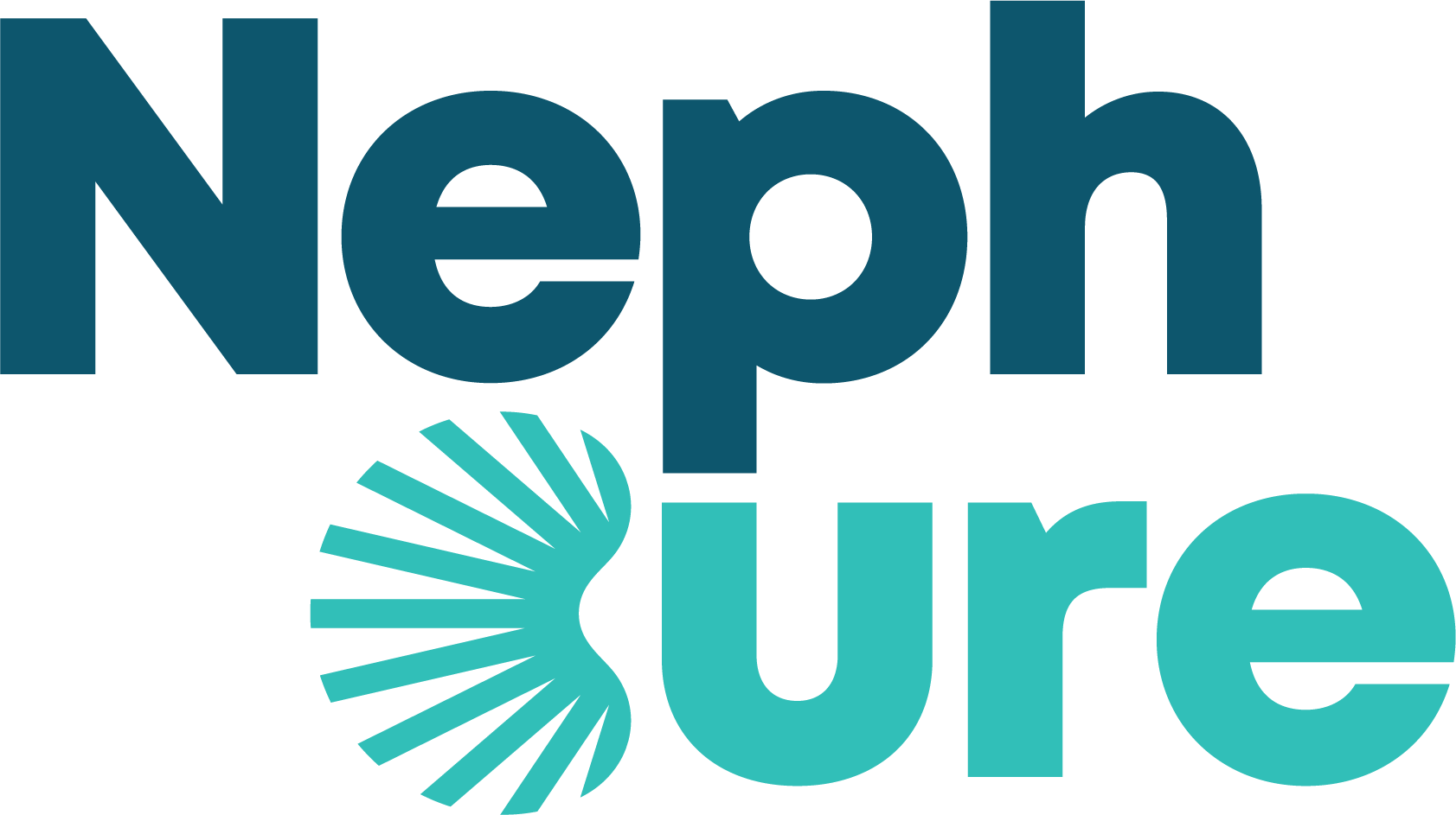 NephCure Patient Summit & Youth Summit 2024 Campaign