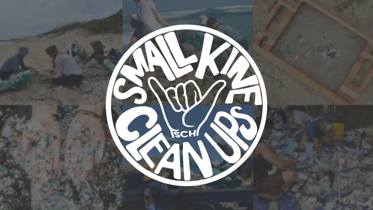 SCH Small Kine Cleanup