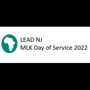 View Top Team - 'NJ LEAD' team page using image
