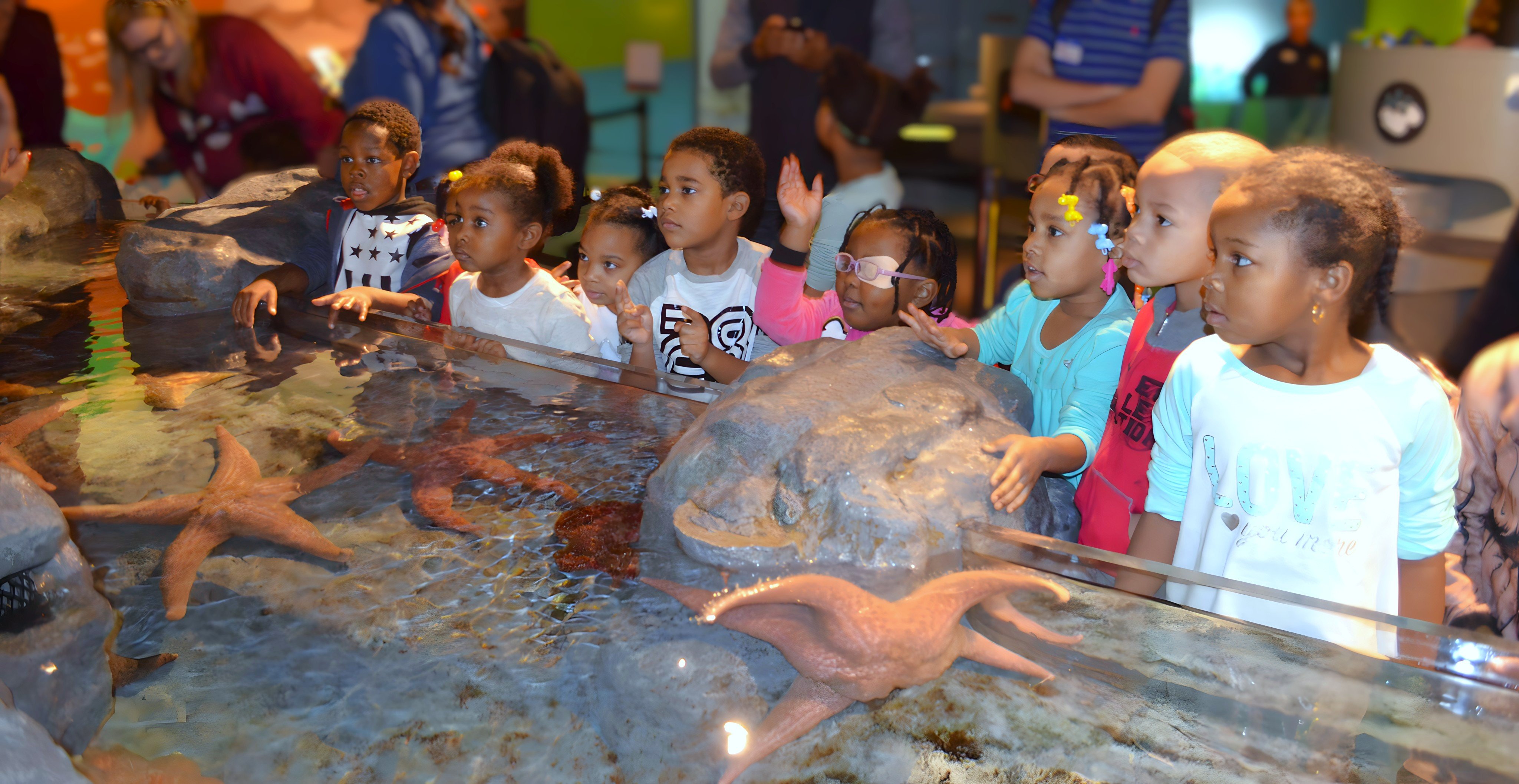 A group of students explore an aquarium and waterlife.