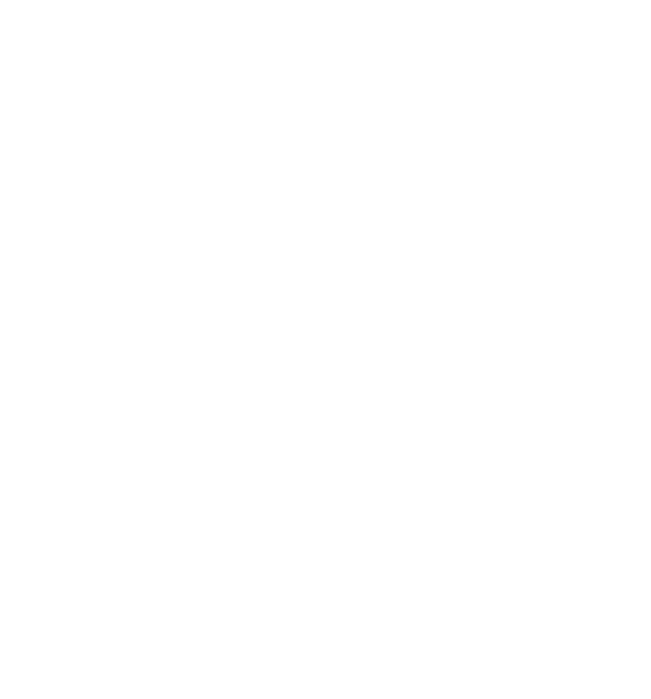 The Chicago Lighthouse logo 