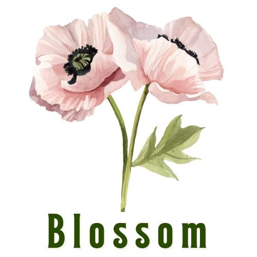 Blossom 2024s Fundraising Page For World Central Kitchen 