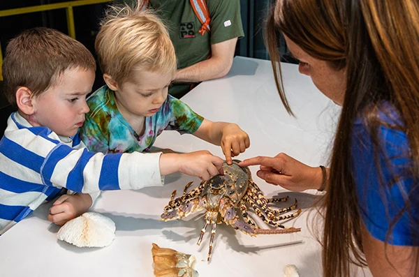 Two young children touching a replica lobster as a Seattle Aquarium education staff member talks to them.