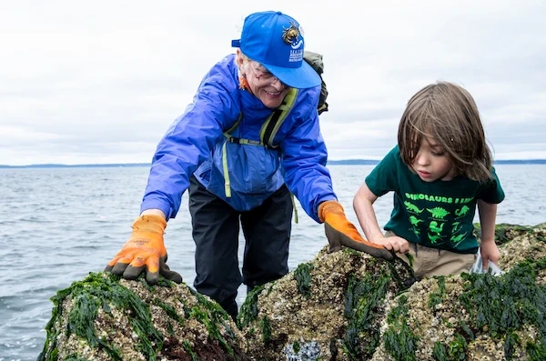 A Seattle Aquarium beach volunteer standing next to a young child as they both look at marine life located within rocks along the beach.