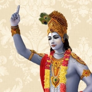 Bhagavad Gita Supporters's fundraising page for JKYog