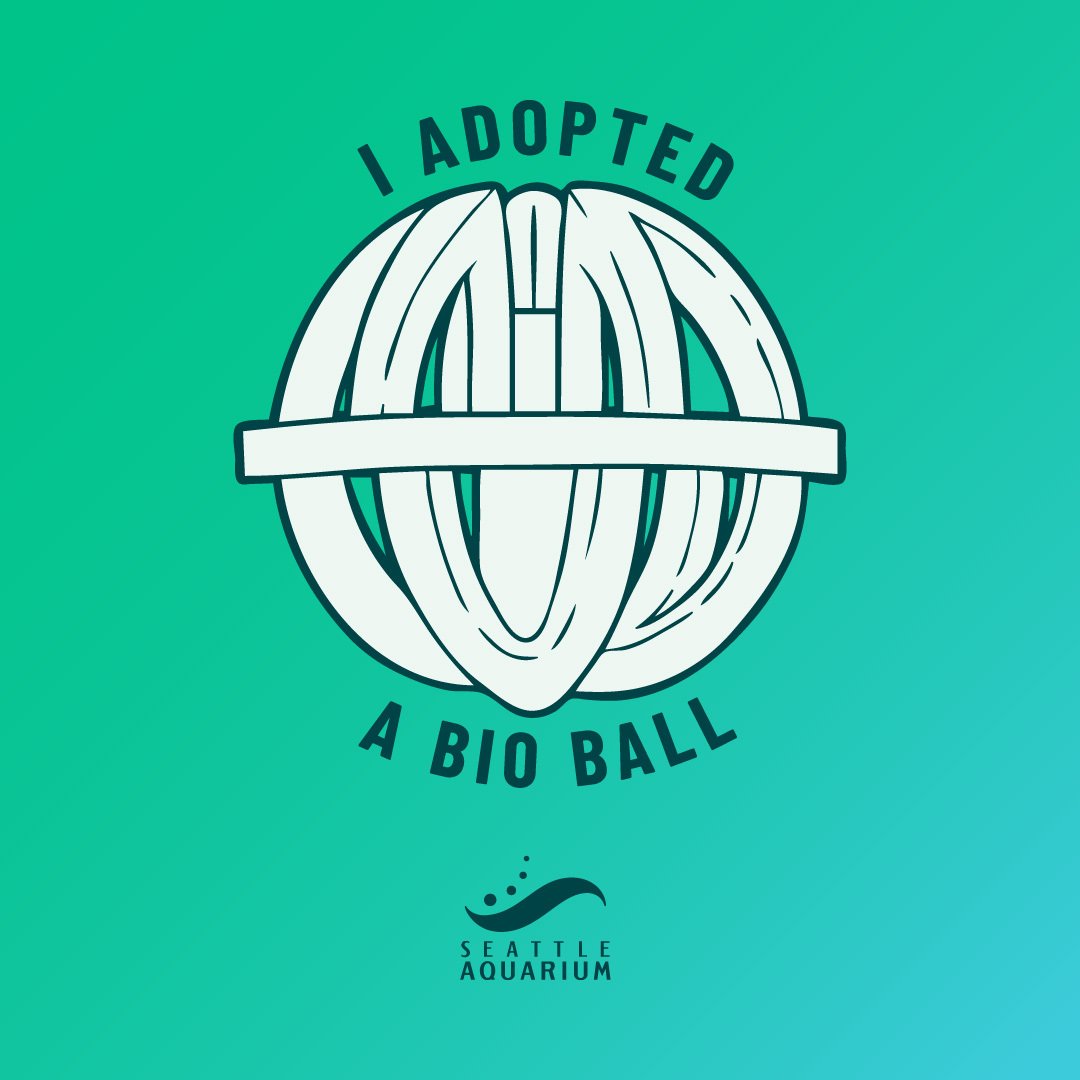 donate-to-adopt-a-bio-ball-campaign