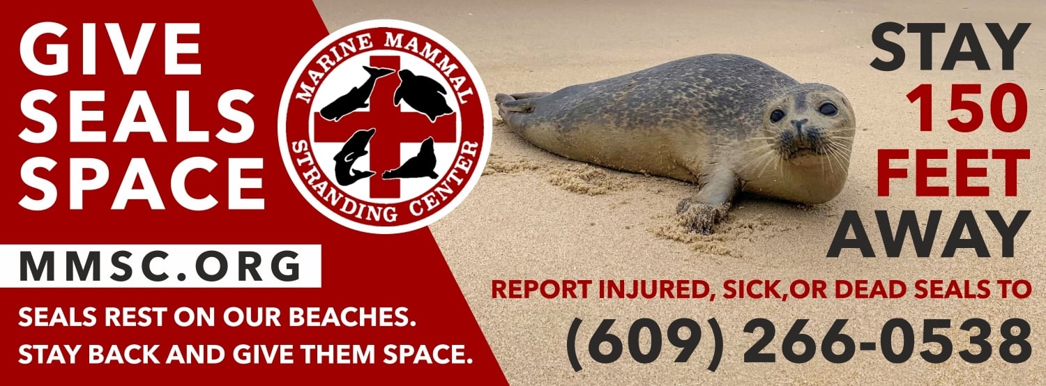Marine Mammal Stranding Center logo logo