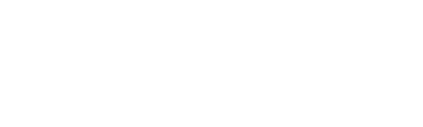 TEAM PAWS Chicago BMW Berlin Marathon 2025 - Campaign