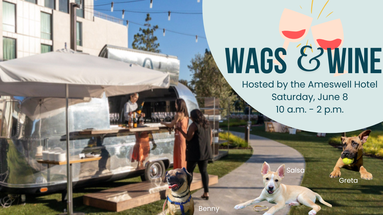 RSVP Wags and Wine at The Ameswell Hotel - Campaign