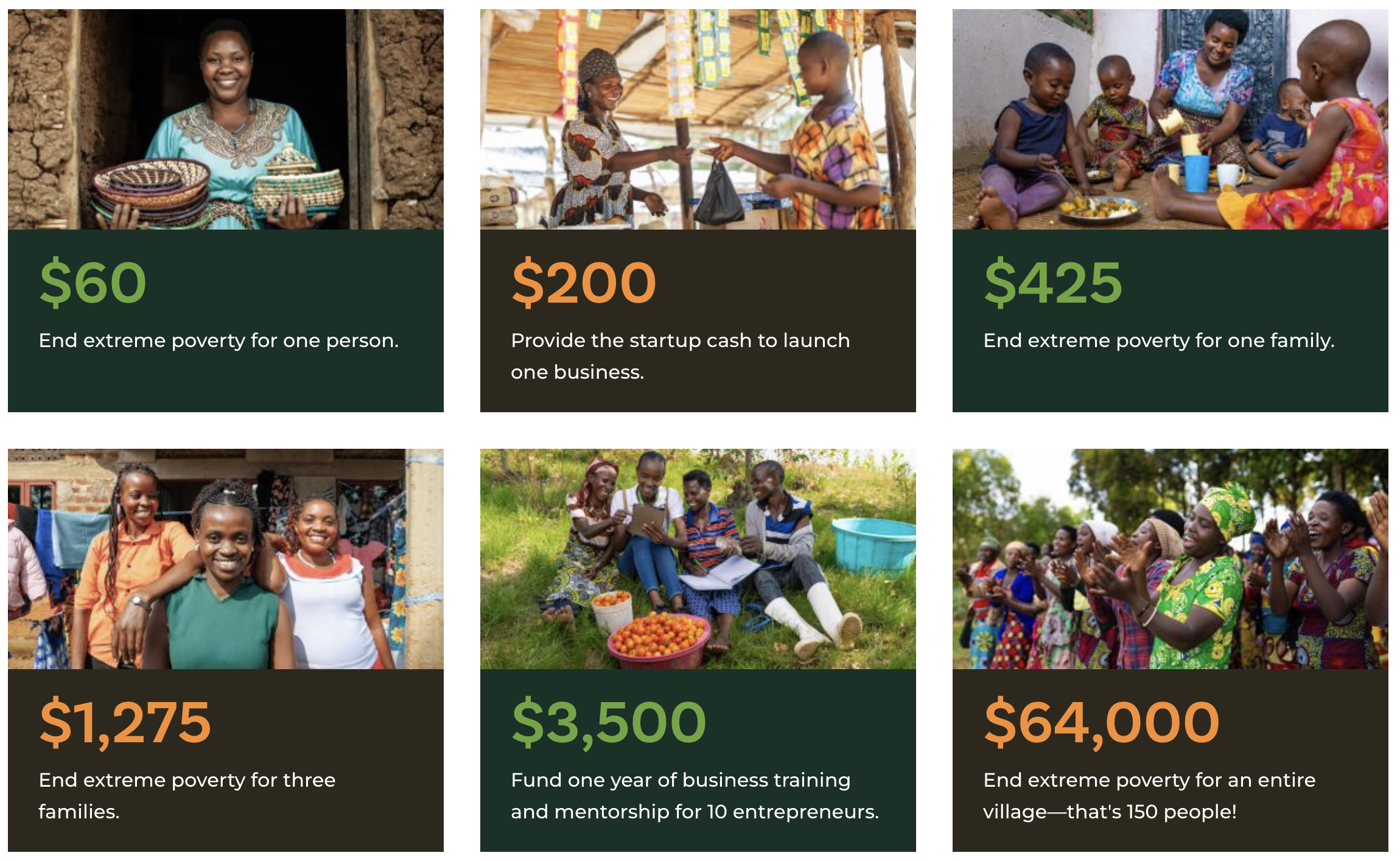 Donate to Village Enterprise