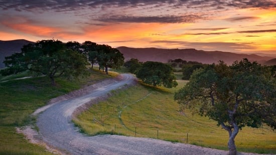 View of Copilot in Excel: AI Data Analysis & Spreadsheets | Microsoft Excel