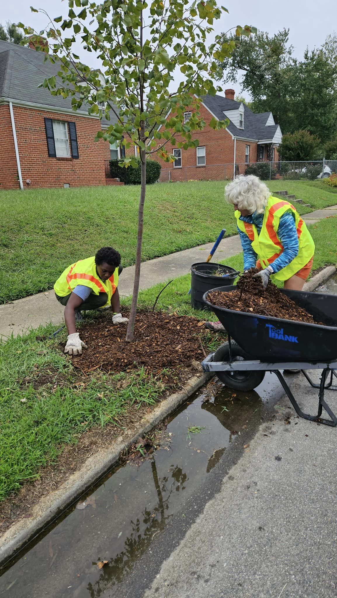 Southside ReLEAF is tackling environmental injustices through hands-on projects, education, and advocacy. 