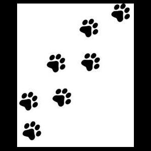 View Top Individual - 'Elaine Harwell' fundraiser page using image
