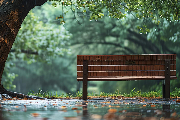 A wooden bench positioned next to an aging oak tree with a fresh rain