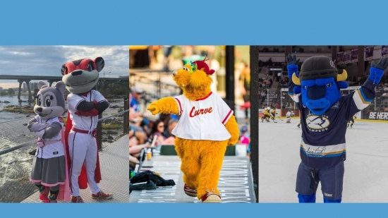 Buffalo Bisons on X: Buster's marching into battle against Prostate Cancer  with his other fellow mascots. Join Buster by donating to @fans4thecure. We  need you and your loved ones to STAY IN