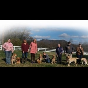 All Star Puppy Raisers's Avatar