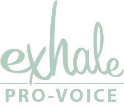 Supporting Queer & Trans Folks Through Abortion Experiences!