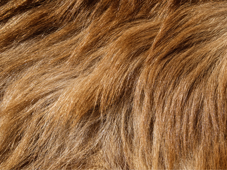fur