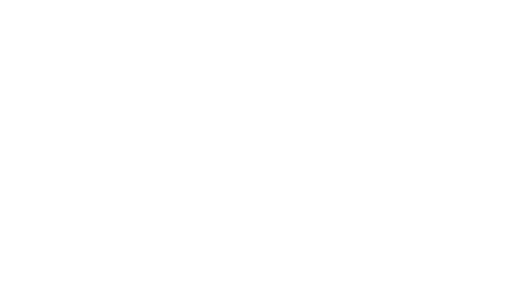 Big Shoulders Fund logo logo