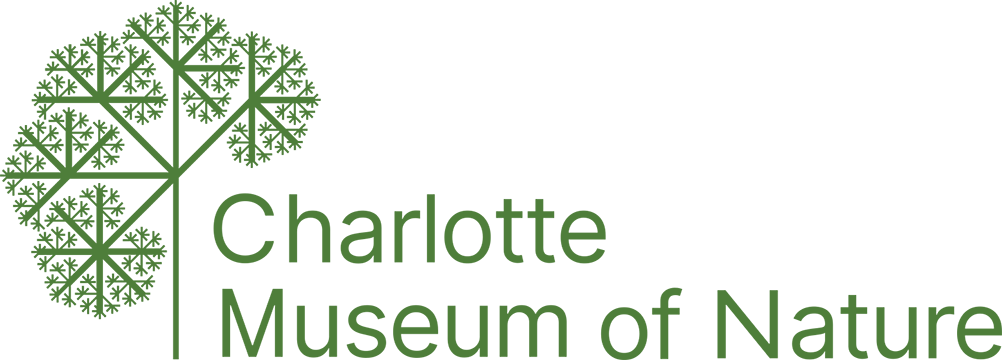 Discovery Place logo logo