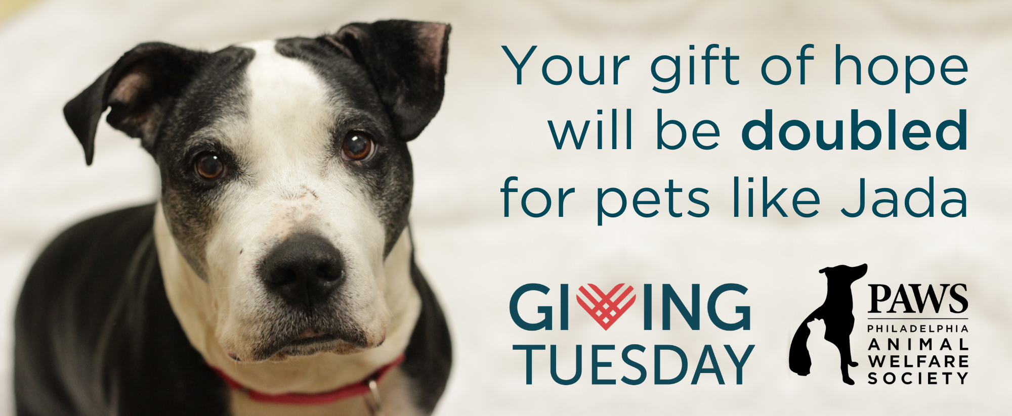 Donate to Giving Tuesday 2022