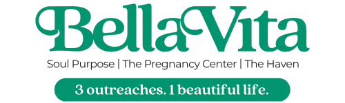 Bella Vita Network logo logo