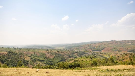 Celebrating Hope Campaign