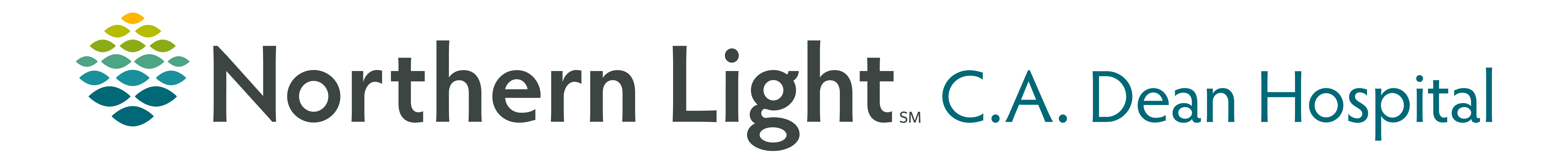 Northern Light Health Foundation logo logo