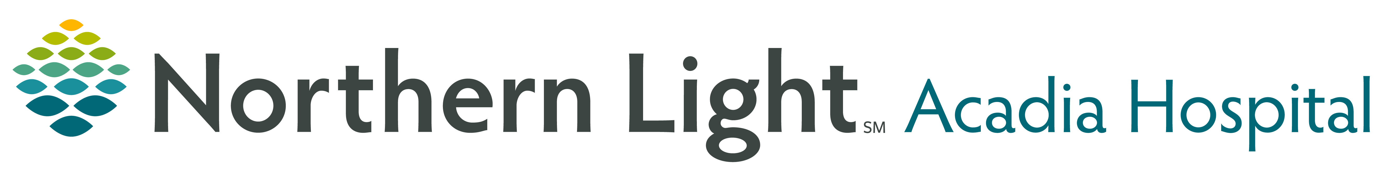 Northern Light Health Foundation logo logo