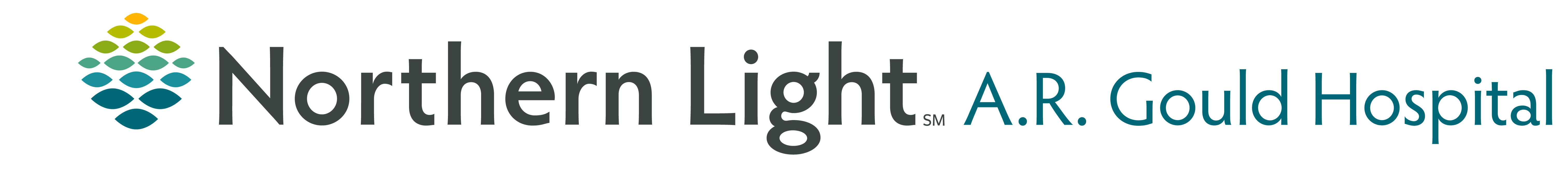 Northern Light Health Foundation logo logo