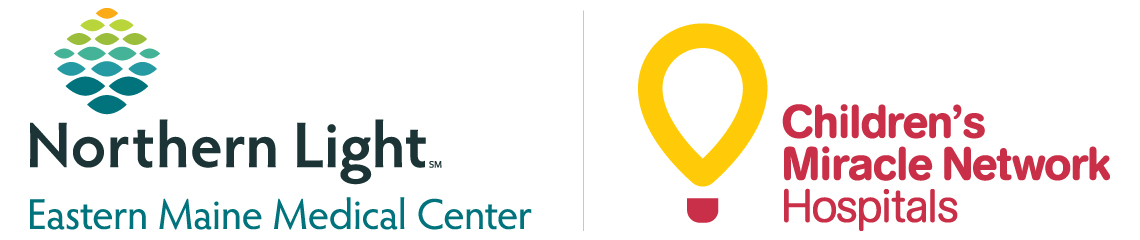 Northern Light Health Foundation logo logo