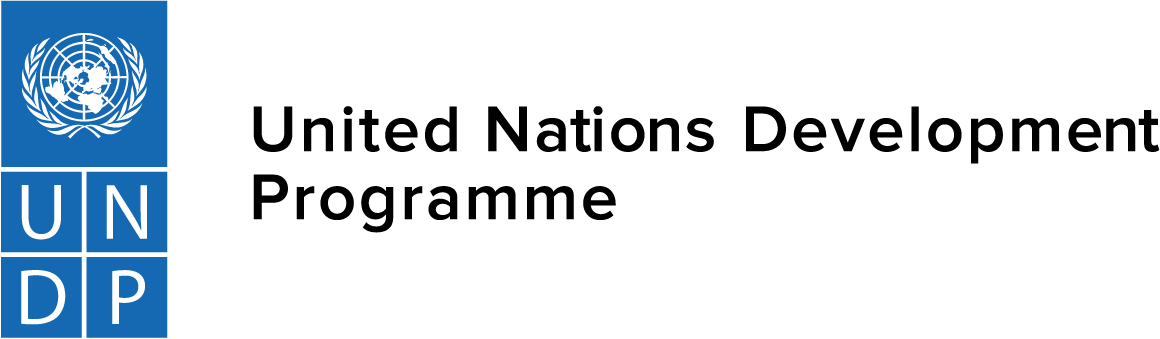 Go to the UNDP Giving landing page