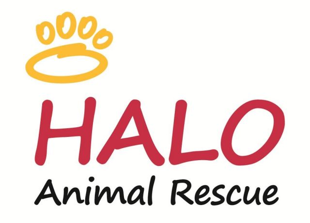HALO Animal Rescue logo logo