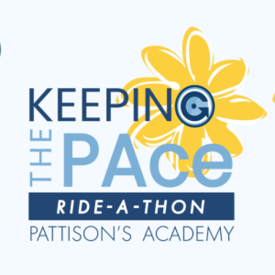 TESTE JIG 2/0 3g-12g FORTI Ganci Affilati Luccio Posatoio - Foto 6