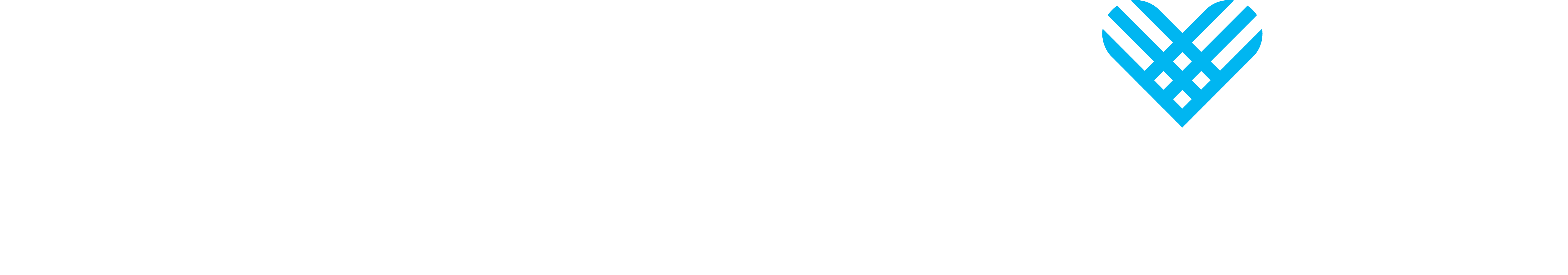 Hillel: The Foundation for Jewish Campus Life logo logo