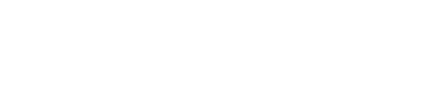 New Commonwealth Fund logo logo
