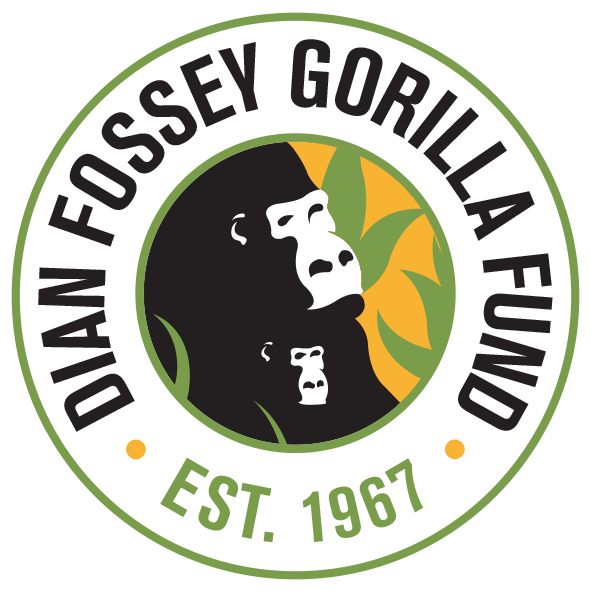 dian fossey gorilla fund international jobs