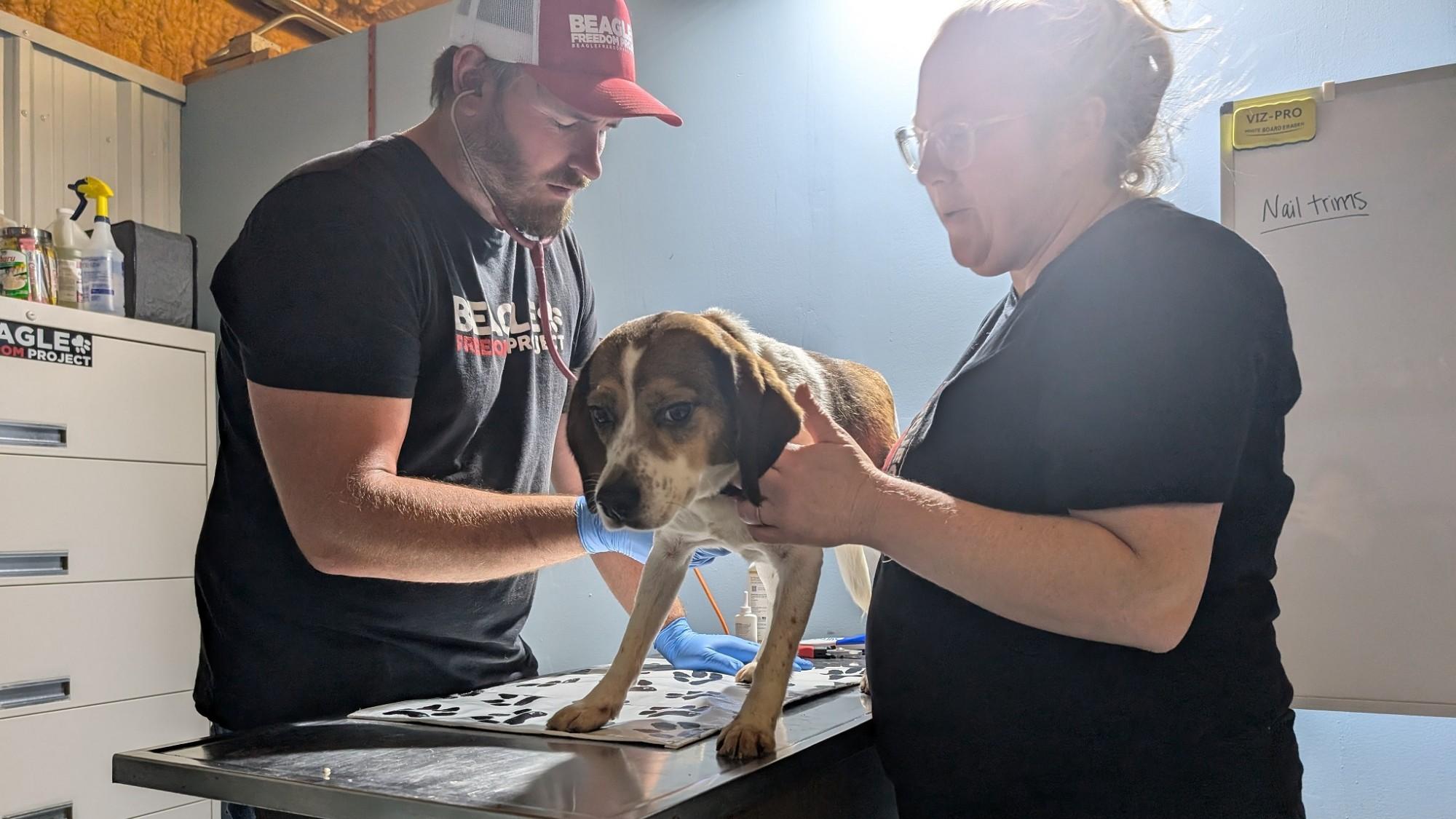 Vet at Freedom Fields with a beagle