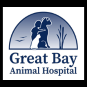 View Top Team - 'Great Bay Animal Hospital' team page using image