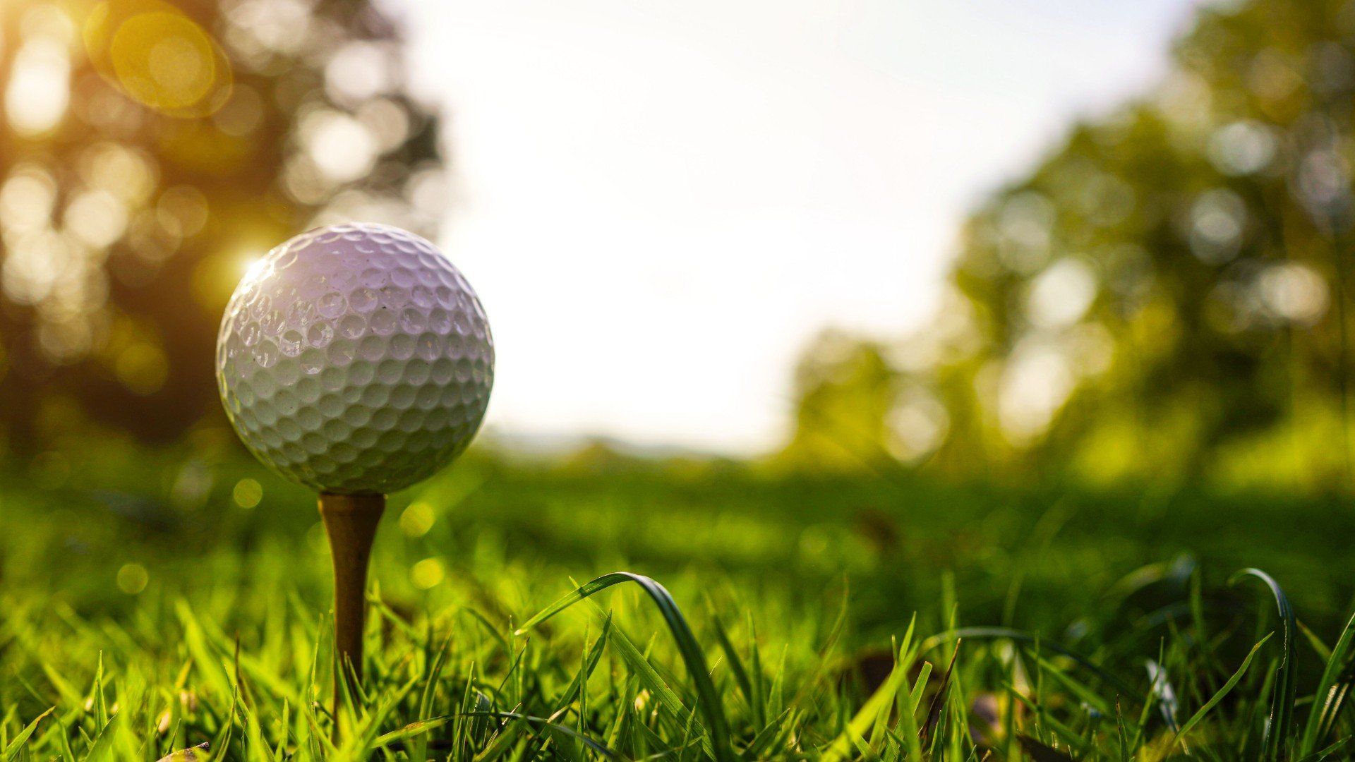 Picture of a golf ball on a tee