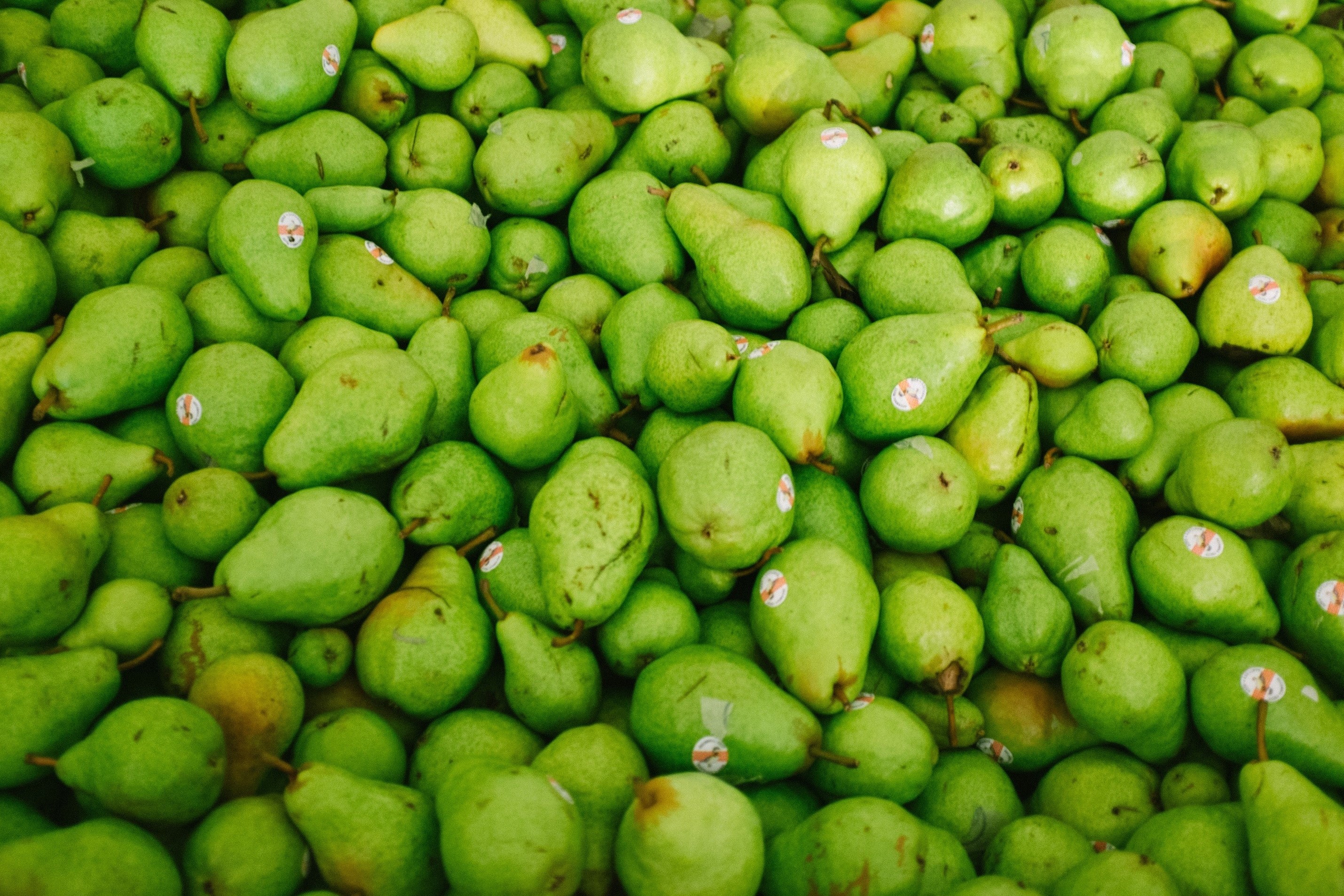 Donate to Oregon Food Bank