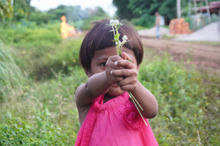 A little girl in pink from LWB's Safe Haven program holds white wildflowers in front of her face. She stands in a field with a dirt road in the background.